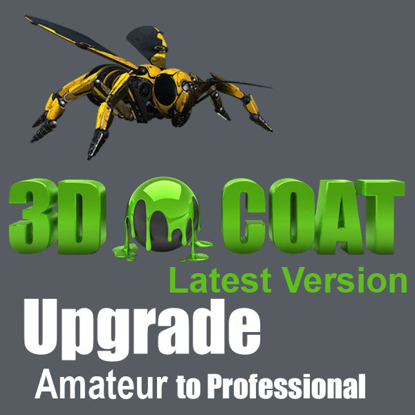 3D-Coat 4.9 - Amateur to Professional Upgrade