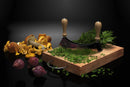 Archmodels vol. 217 (Evermotion 3D Models) - Architectural Visualizations