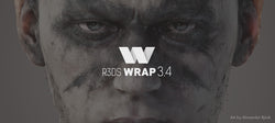 R3DS WRAP 3.4 Released!