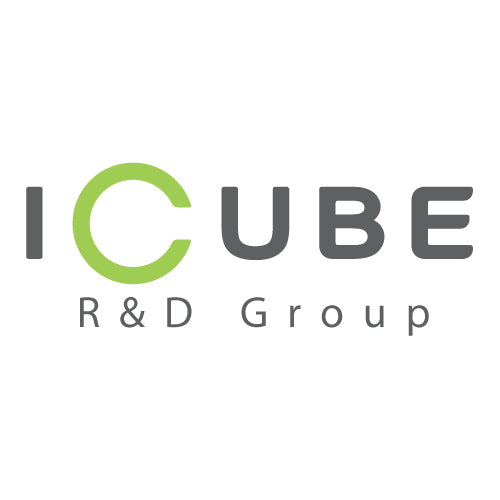 iCube R&D Group – CG River