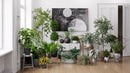 Evermotion Archmodels vol. 280 Interior Pot Plants original render 1