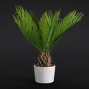 Evermotion Archmodels vol. 280 Interior Pot Plants original render 3