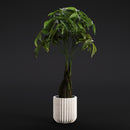 Evermotion Archmodels vol. 280 Interior Pot Plants original render 4