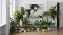 Evermotion Archmodels vol. 282 Interior Pot Plants original render 1