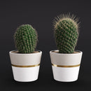 Evermotion Archmodels vol. 282 Interior Pot Plants original render 3