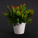 Evermotion Archmodels vol. 282 Interior Pot Plants original render 4