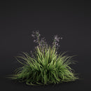 Evermotion Archmodels vol. 286 Garden Plants original render 2