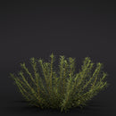 Evermotion Archmodels vol. 286 Garden Plants original render 3