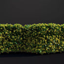 Evermotion Archmodels vol. 307 Garden Shrubs and Hedges original render 2