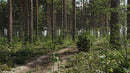Evermotion Archmodels vol. 308 Forest Biomes original render 1