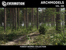 Evermotion Archmodels vol. 308 Forest Biomes collection cover