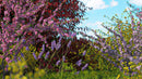 iBushes vol.1 official 3D model preview 1