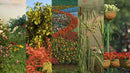 iFlowers 1-5 bundle preview of the five flower collections