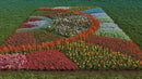 iFlowers vol.3 Flowerbeds official 3D model collection preview 1