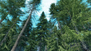 iTrees vol.4 Fir Trees official 3D tree model preview 1