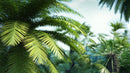 iTrees Palms vol.1 official 3D tree model preview 1