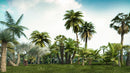 iTrees Palms vol.1 official 3D tree model preview 2