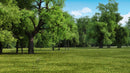 iTrees vol.2 Summer official 3D tree model preview 1