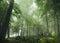 Forest Bundle vol. 1 (Evermotion 3D Models) - Architectural Visualizations