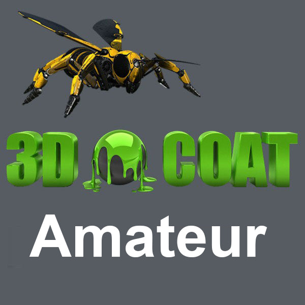 3D-Coat 4.9 - Amateur