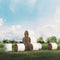 Archmodels vol. 146 (Evermotion 3D Models) - Agricultural Machinery