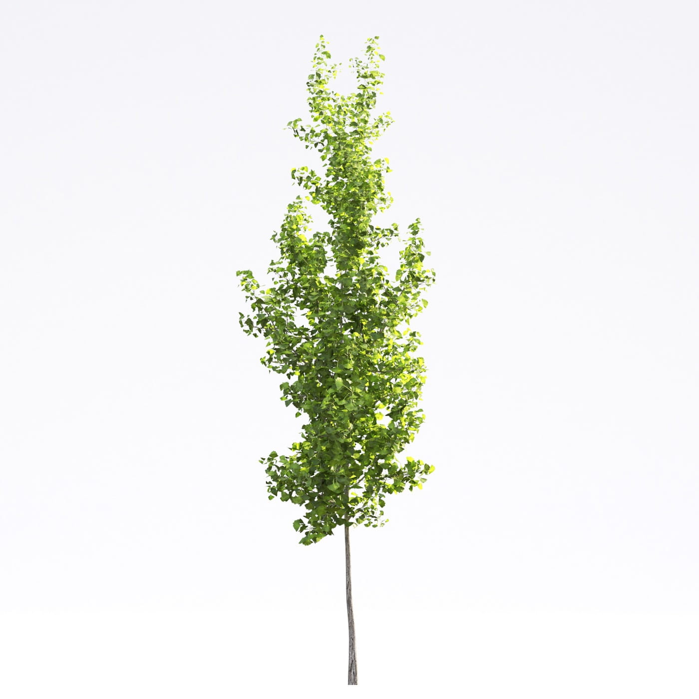 Archmodels vol. 250 (Evermotion 3D Models) - Architectural Visualizati ...