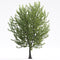 Archmodels vol. 250 (Evermotion 3D Models) - Architectural Visualizations