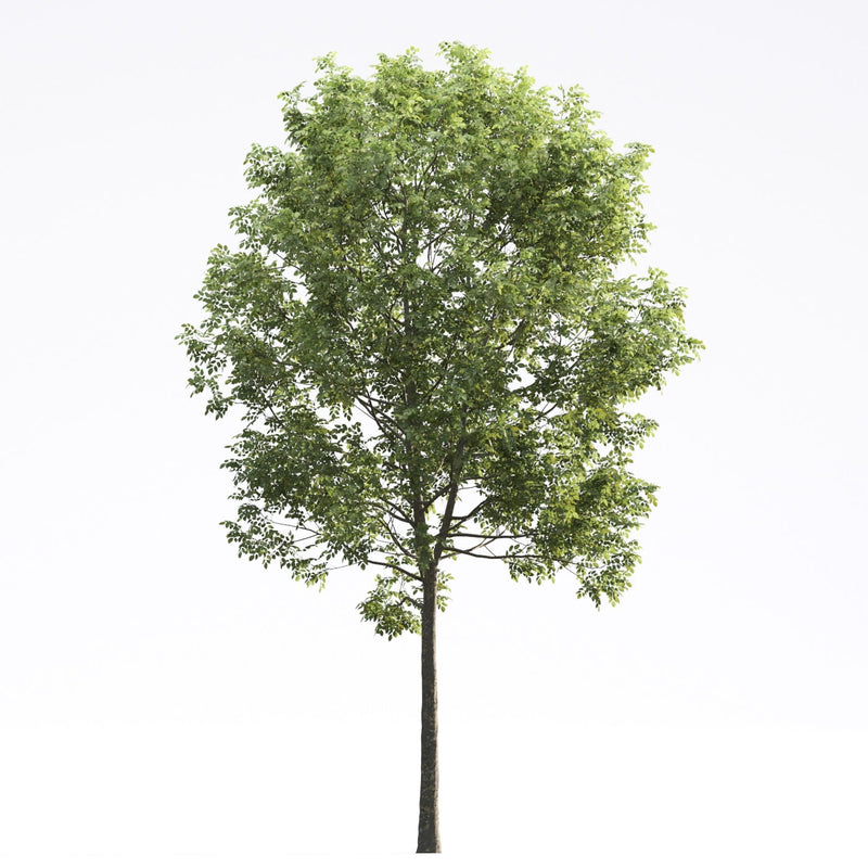 Archmodels vol. 250 (Evermotion 3D Models) - Architectural Visualizations
