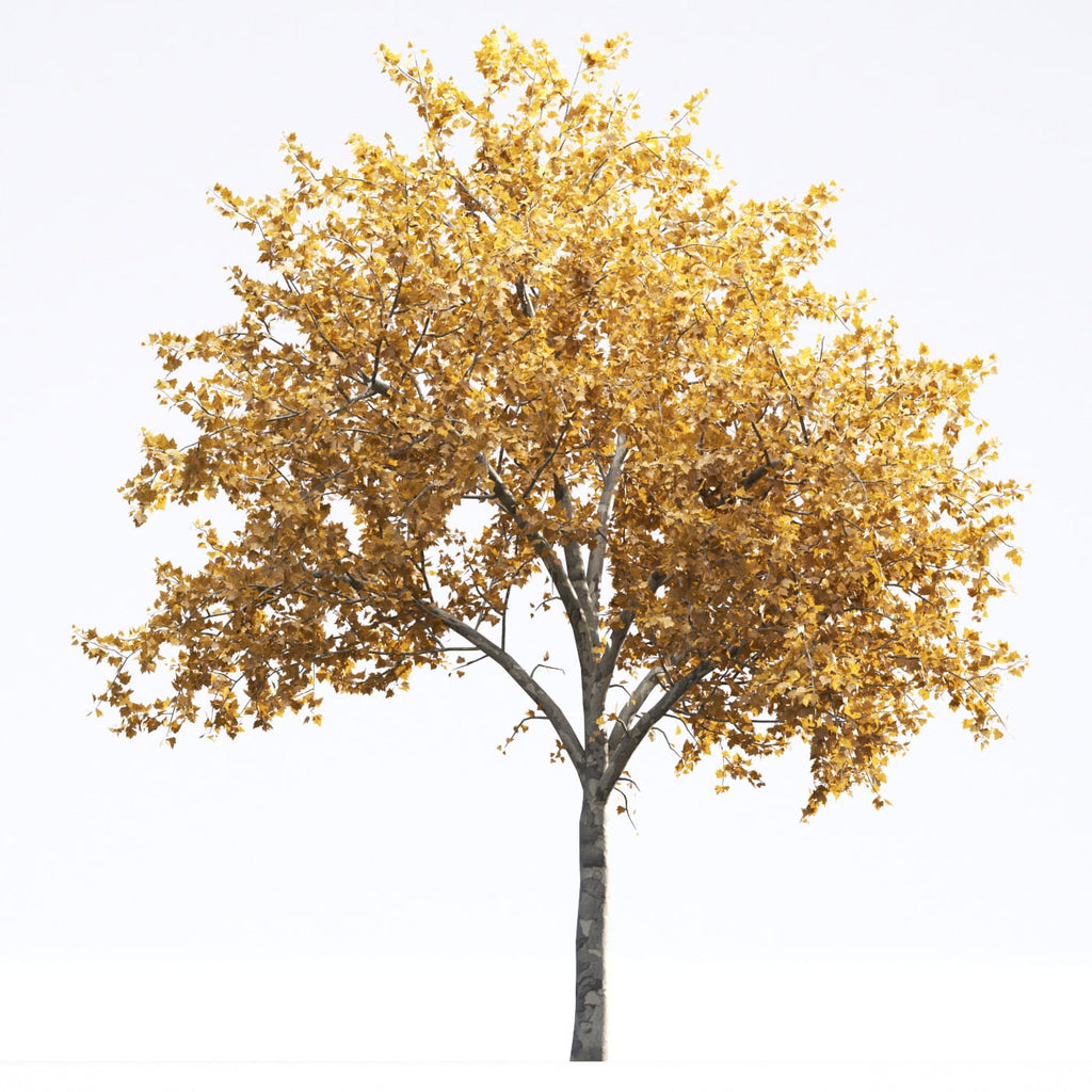 Archmodels vol. 250 (Evermotion 3D Models) - Architectural Visualizati ...