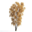 Archmodels vol. 258 (Evermotion 3D Models) - Architectural Visualizations