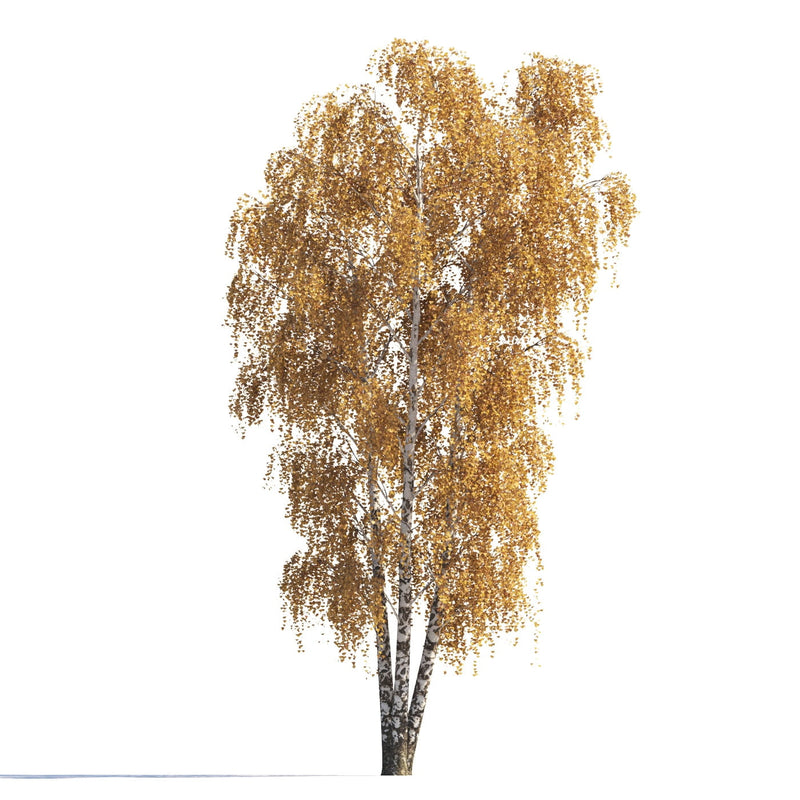 Archmodels vol. 258 (Evermotion 3D Models) - Architectural Visualizations