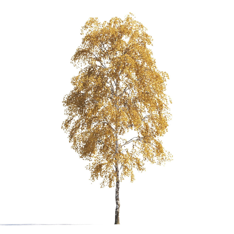 Archmodels vol. 258 (Evermotion 3D Models) - Architectural Visualizations