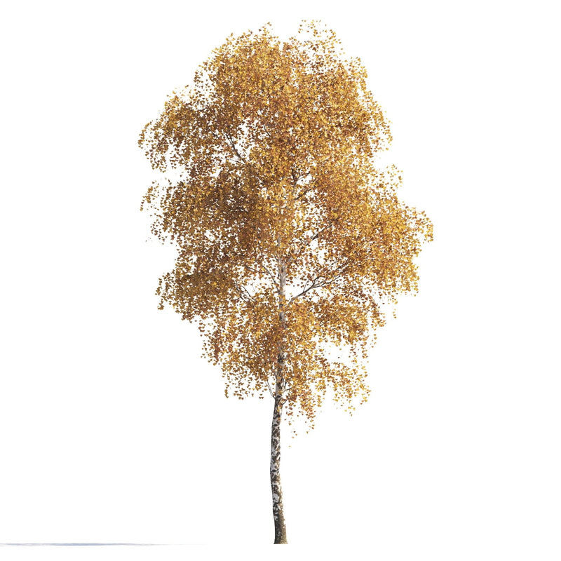 Archmodels vol. 258 (Evermotion 3D Models) - Architectural Visualizations
