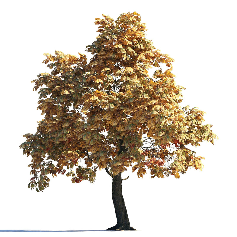 Archmodels vol. 258 (Evermotion 3D Models) - Architectural Visualizations
