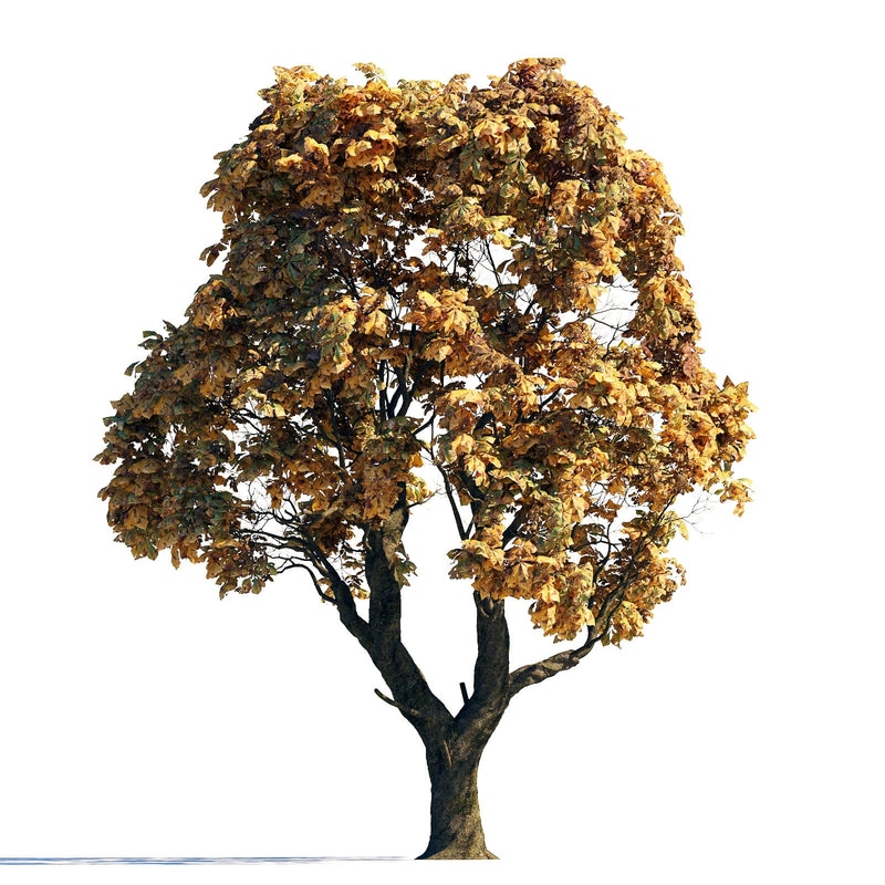 Archmodels vol. 258 (Evermotion 3D Models) - Architectural Visualizations