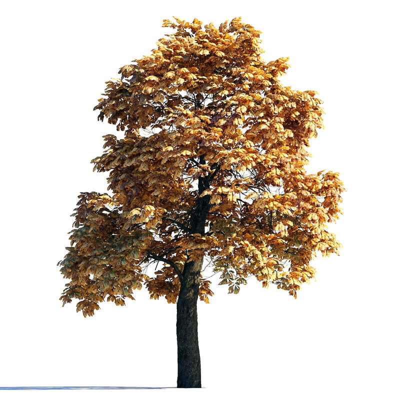 Archmodels vol. 258 (Evermotion 3D Models) - Architectural Visualizations