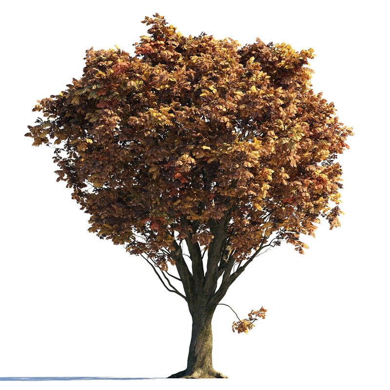 Archmodels vol. 258 (Evermotion 3D Models) - Architectural Visualizations