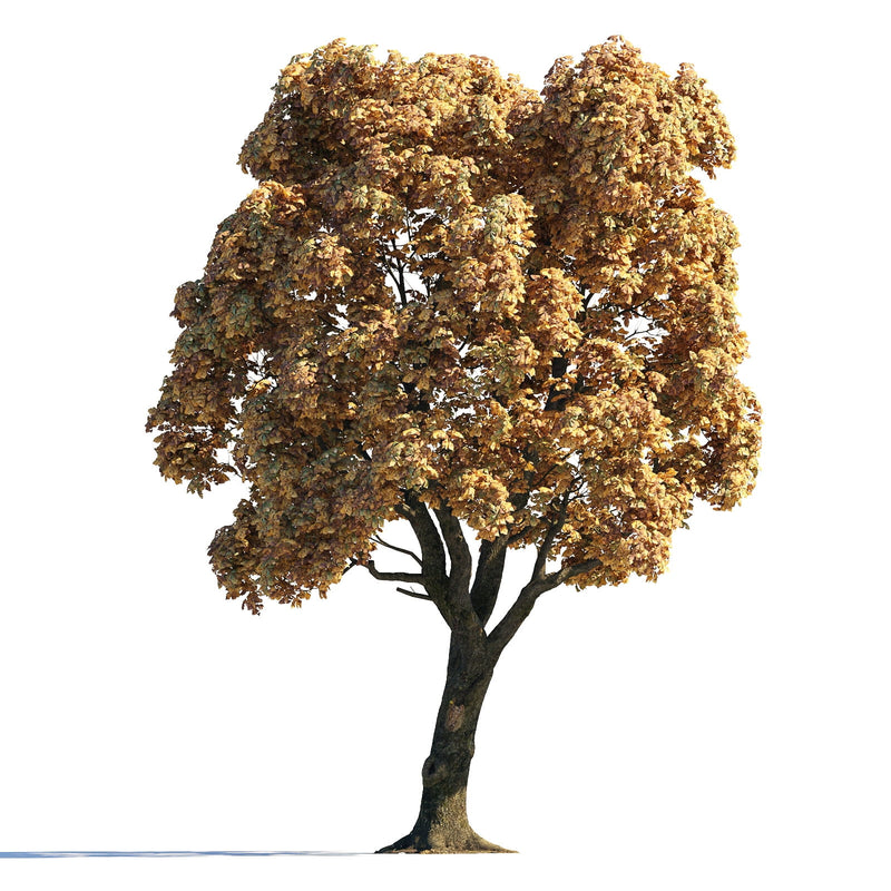 Archmodels vol. 258 (Evermotion 3D Models) - Architectural Visualizations