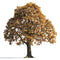 Archmodels vol. 258 (Evermotion 3D Models) - Architectural Visualizations