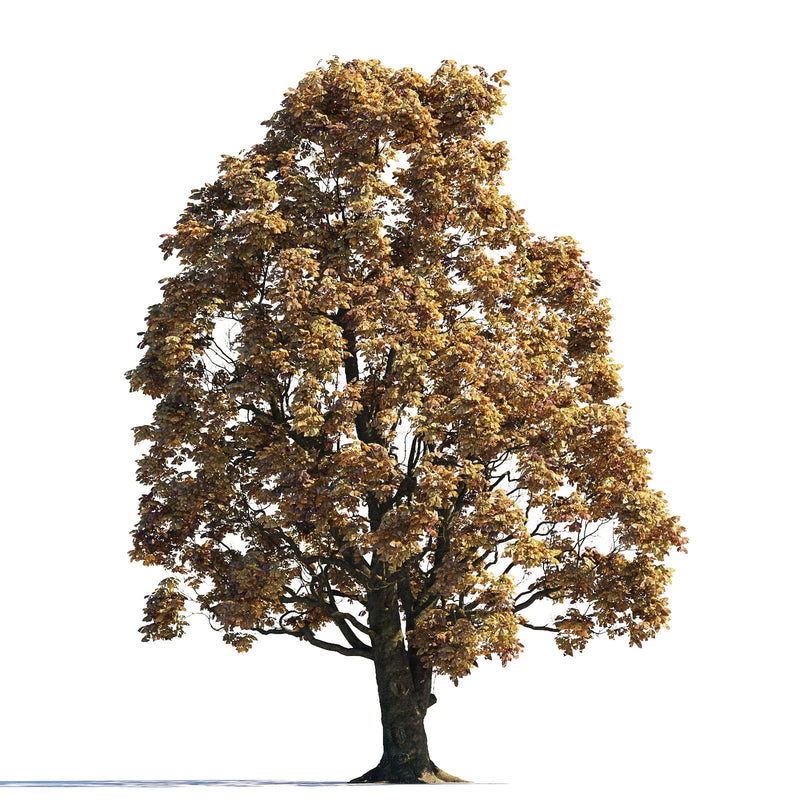 Archmodels vol. 258 (Evermotion 3D Models) - Architectural Visualizations