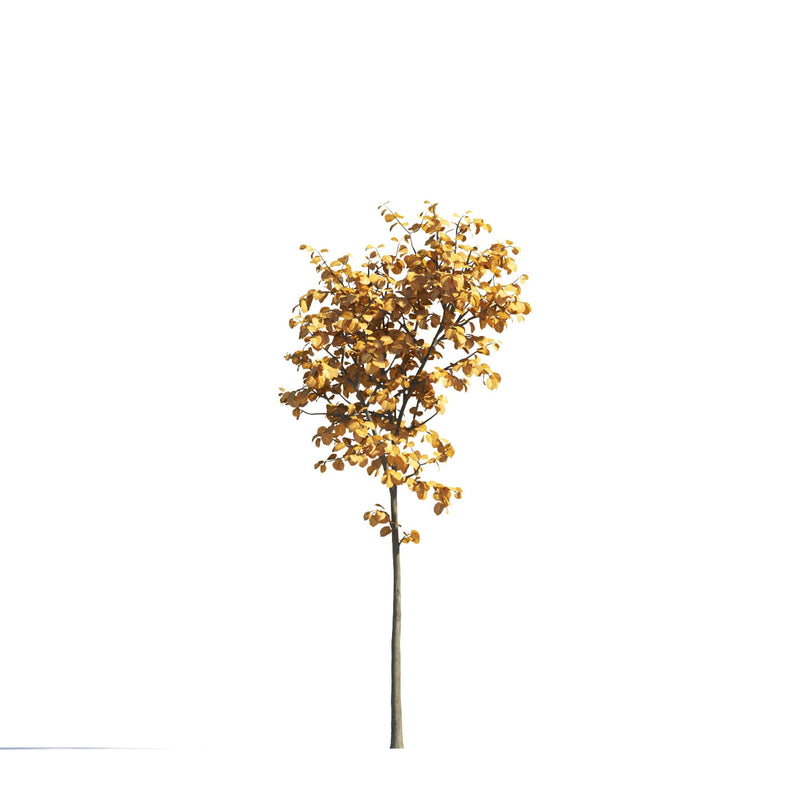 Archmodels vol. 258 (Evermotion 3D Models) - Architectural Visualizations
