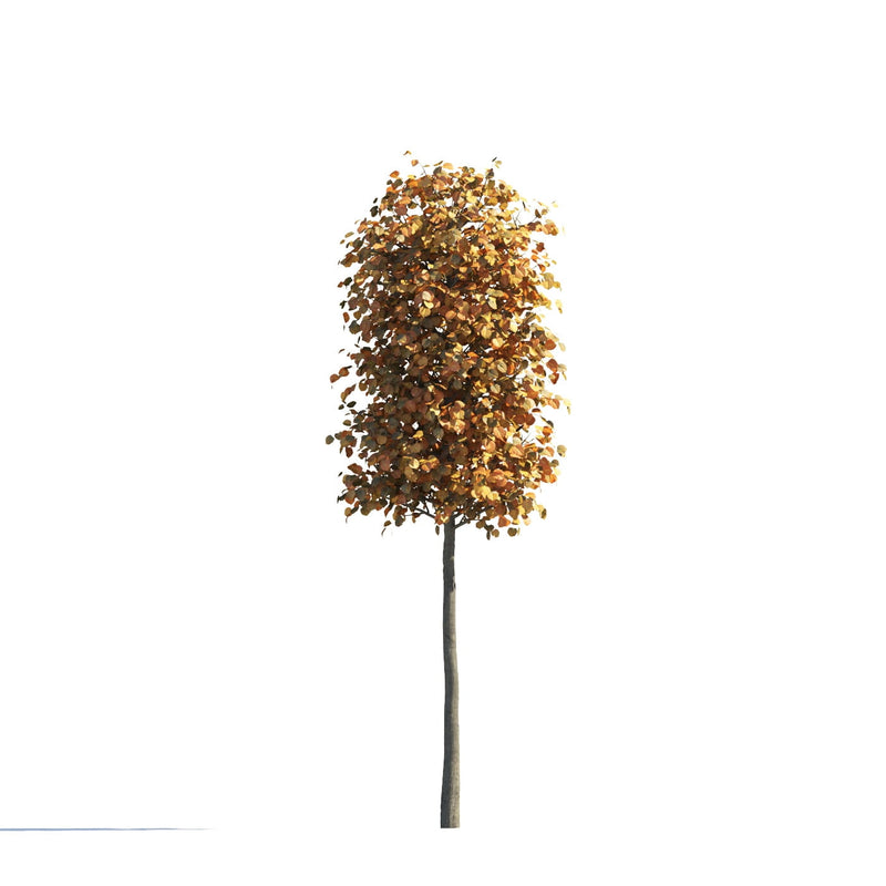 Archmodels vol. 258 (Evermotion 3D Models) - Architectural Visualizations