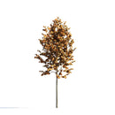 Archmodels vol. 258 (Evermotion 3D Models) - Architectural Visualizations