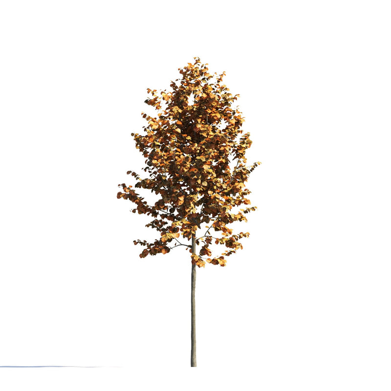 Archmodels vol. 258 (Evermotion 3D Models) - Architectural Visualizations