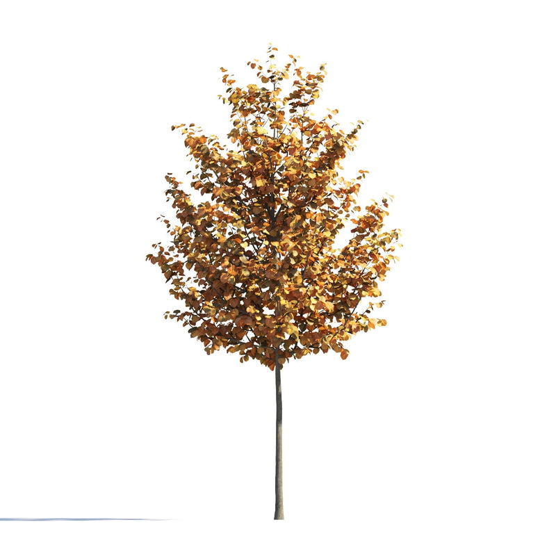 Archmodels vol. 258 (Evermotion 3D Models) - Architectural Visualizations