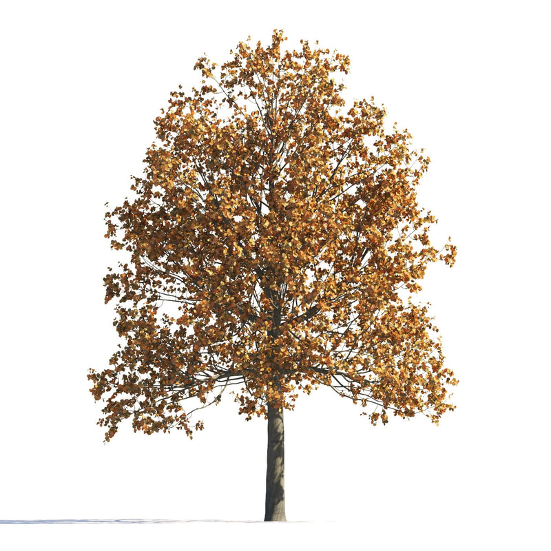 Archmodels vol. 258 (Evermotion 3D Models) - Architectural Visualizations
