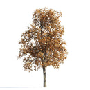 Archmodels vol. 258 (Evermotion 3D Models) - Architectural Visualizations
