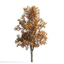 Archmodels vol. 258 (Evermotion 3D Models) - Architectural Visualizations