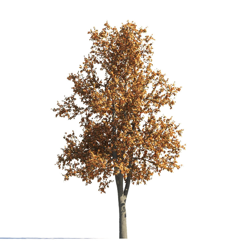 Archmodels vol. 258 (Evermotion 3D Models) - Architectural Visualizations
