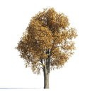 Archmodels vol. 258 (Evermotion 3D Models) - Architectural Visualizations
